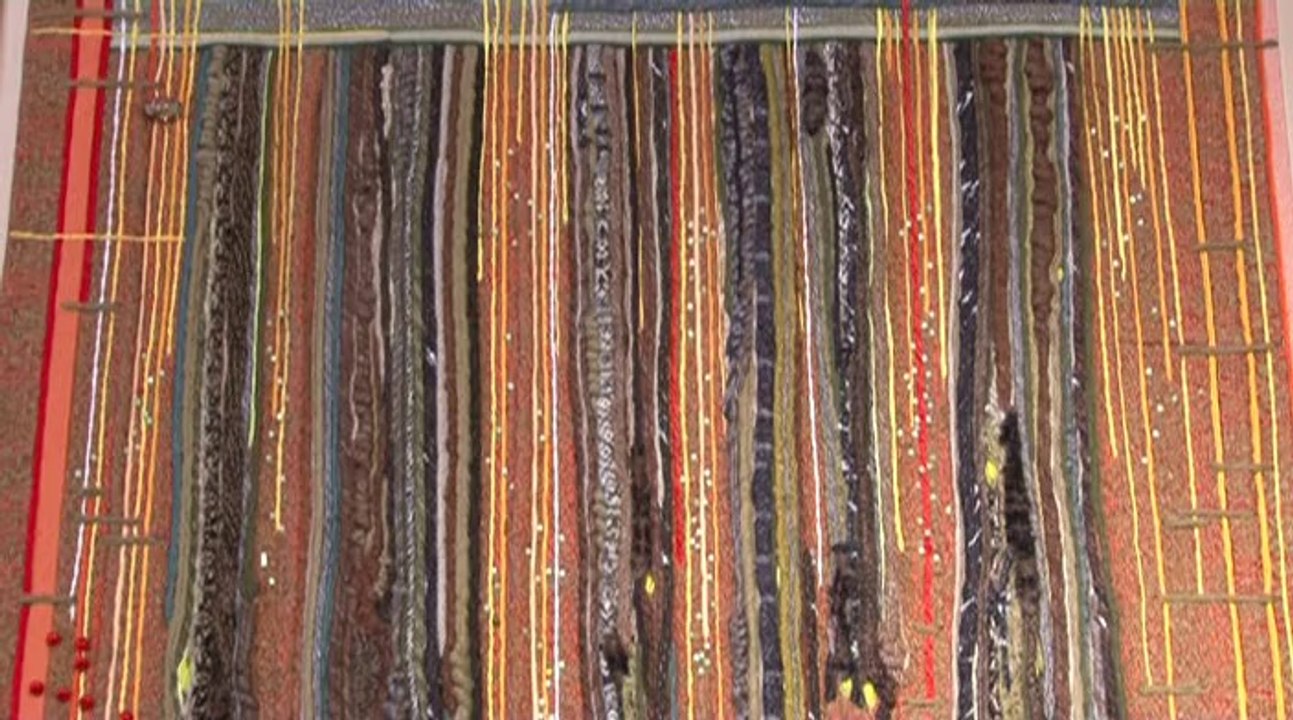 Alpes-de-Haute-Provence: Rencontre avec une artiste de tableaux textiles à Barcelonnette