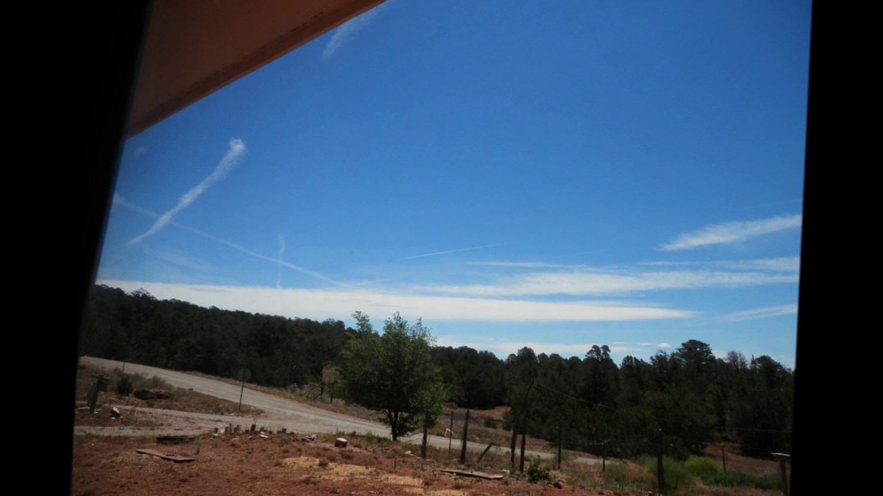 THIN WHITE LINES