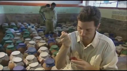 This is What Snake Venom Does to Blood - Funny Videos - Fails Compilation, Funny Pranks.