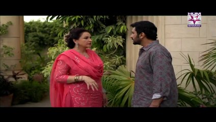 Jahan Araa Begum Episode 97 By HUM SITARAY - 6th August 2014