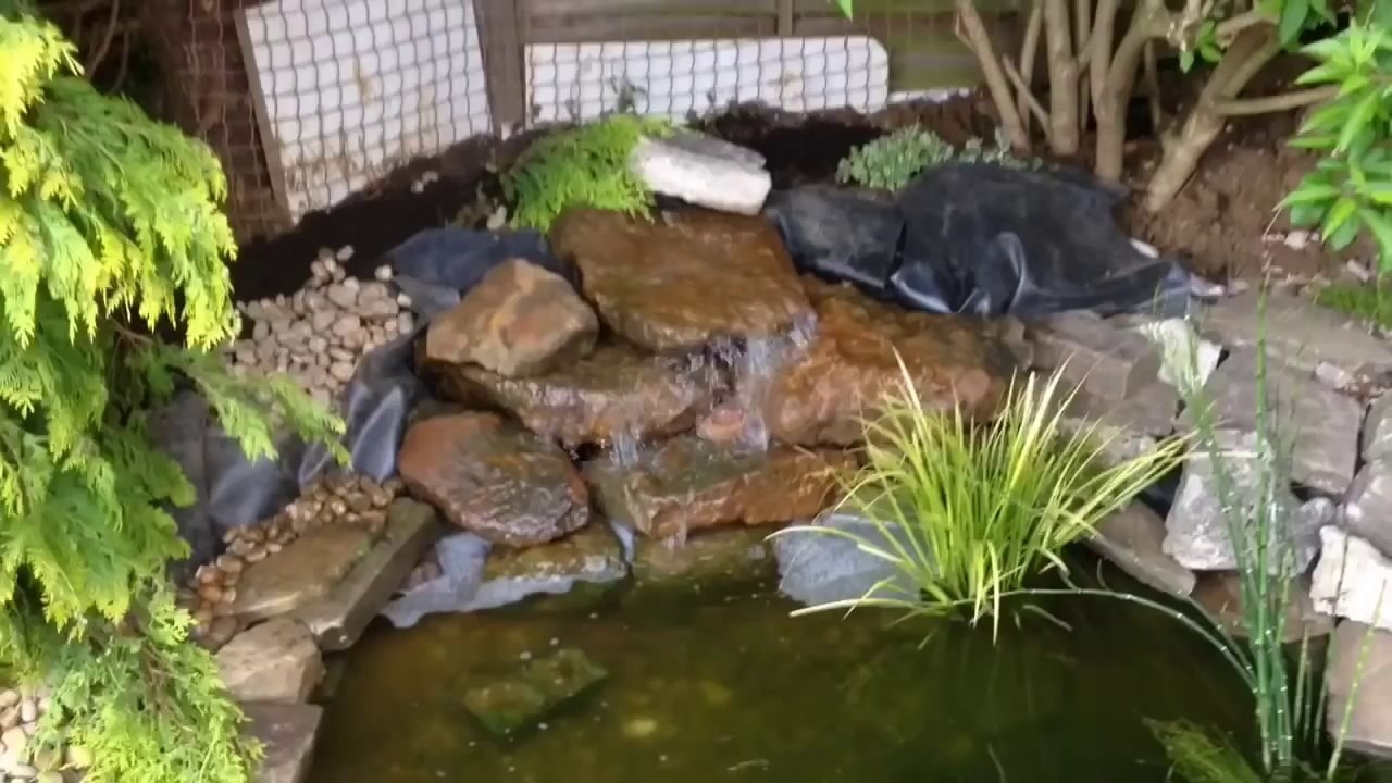 How to build a natural looking fish pond.