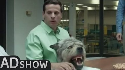 Bring your Dog to work day! Bad Idea?