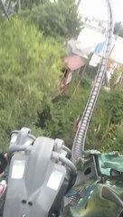 gardaland raptor guccio