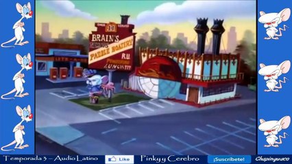Pinky y Cerebro Capitulo 55