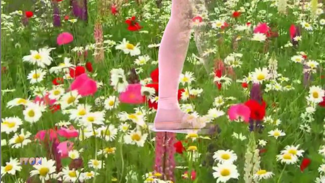 Richard Clayderman - Les Fleurs Sauvages - ДИВИ ЦВЕТЯ