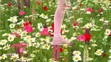 Richard Clayderman - Les Fleurs Sauvages - ДИВИ ЦВЕТЯ