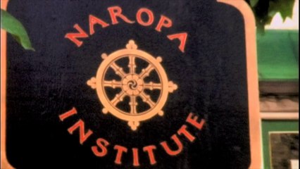 Crazy Wisdom - Official Trailer (HD)