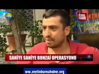 Zeytinburnu'nda Film Gibi Bonzai Operasyonu