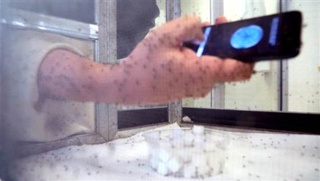 Application anti-moustiques efficace ?