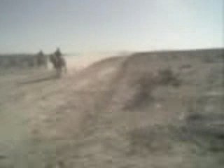 carreras de caballos