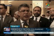 Venezuela reitera su apoyo incondicional a Palestina