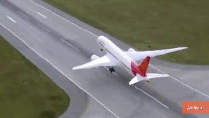 Plane Delayed Because of Rat(s)