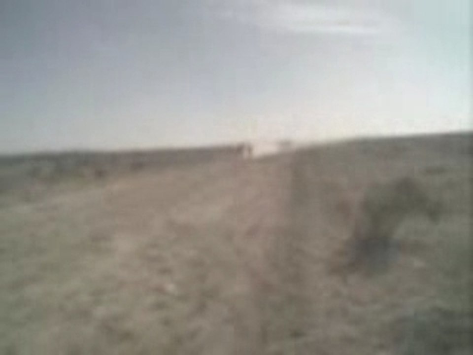 Run Horse