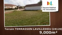 A vendre - Terrain - TERRASSON LAVILLEDIEU (24120) - 9 000m²