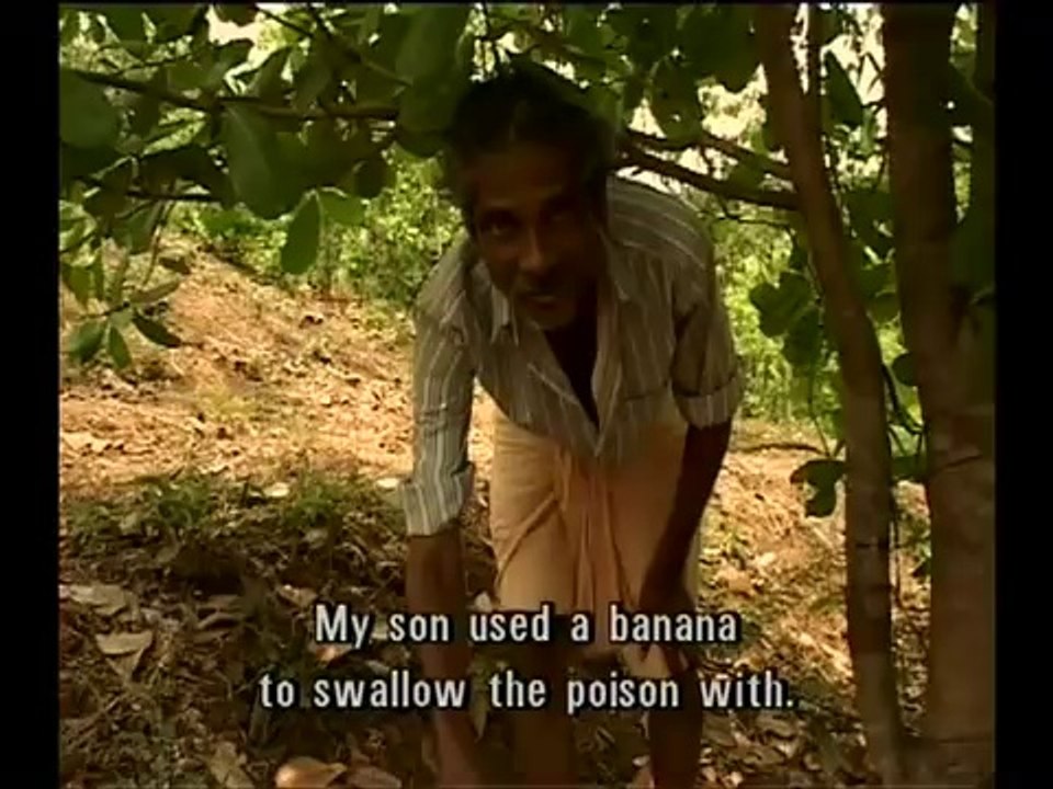 Bullshit - The Documentary