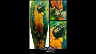 The Best 3D Tattoos in The World 2013 HD 3D