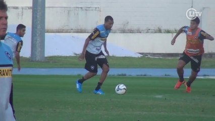 Ramírez começa a mostrar suas características no Botafogo