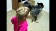 Dog And Little Girl Chasing Their Tails