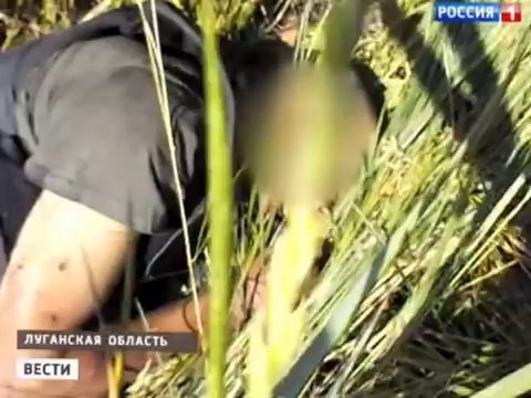 Ополченцы вдребезги разгромили легендарный батальон -Айдар-