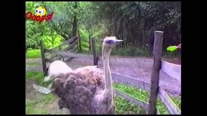 Pranks - Gags - Win - Fail.98