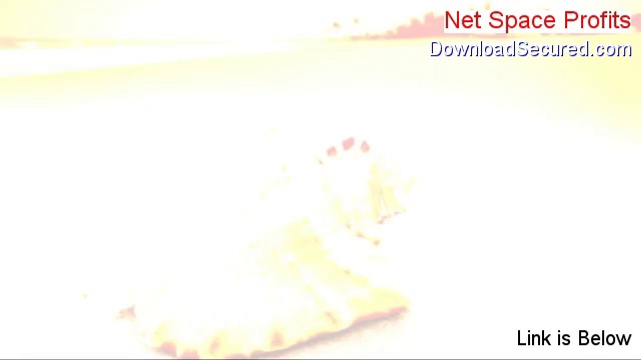 Net Space Profits PDF - net space profits
