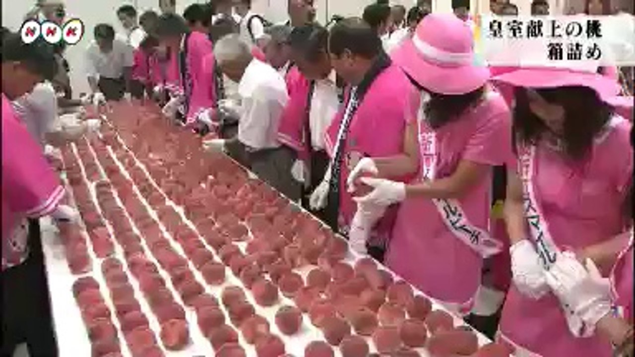 20140806皇室献上の桃　箱詰め 福島