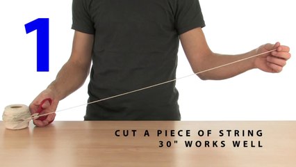 Pendulum Catch - Sick Science! #013