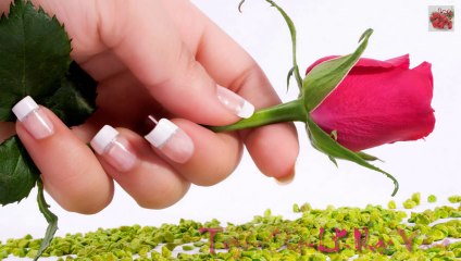 Liên Khúc Nhạc Hải Ngoại Hay Nhất Thời Đại