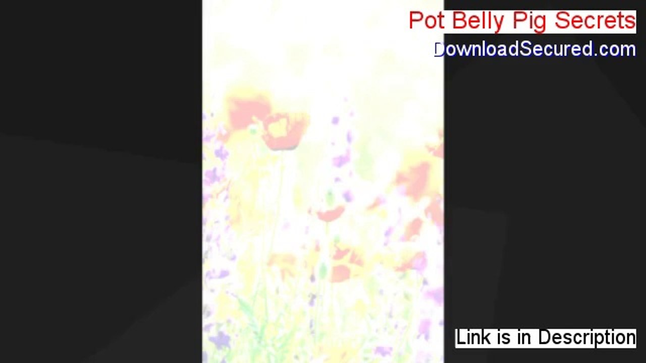 Pot Belly Pig Secrets Free Download - pot belly pig secrets pdf