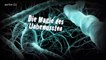 Das automatische Gehirn - 1v2 - Die Magie des Unbweussten - 2011 - by ARTBLOOD