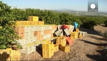 Rusya, ABD ve AB'den tarım ürünleri ithalatını yasakladı