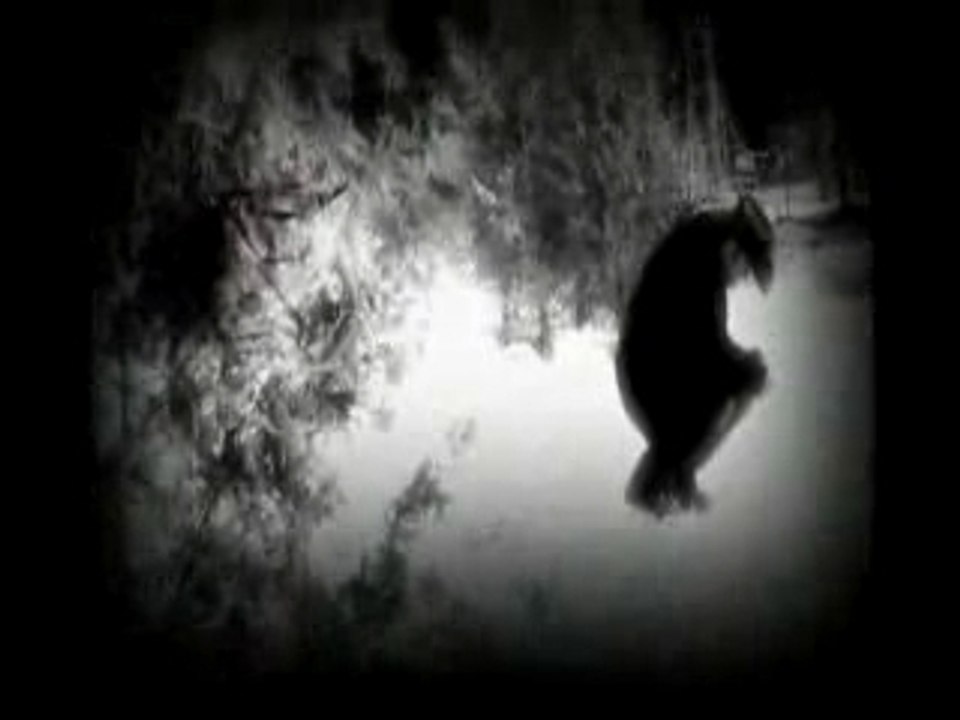 Tim McGraw - When The Stars Go Blue
