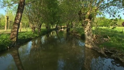 Cheval Génial, épisode 4 (saison 2)