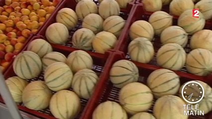 Ukraine : la Russie va boycotter les légumes européens