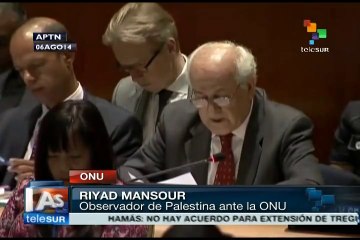 Comunidad internacional no tiene voluntad política: Riyad Mansour