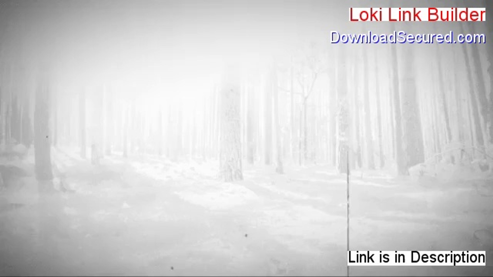 ⁣Loki Link Builder Review [loki link builder]