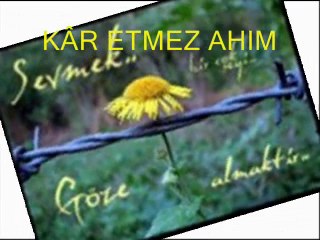 YILDIZ DEMİRKOL SAVAŞ-yıldızlıtürküler-KAR ETMEZ AHIM