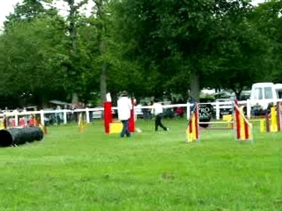 Dreamyagility1