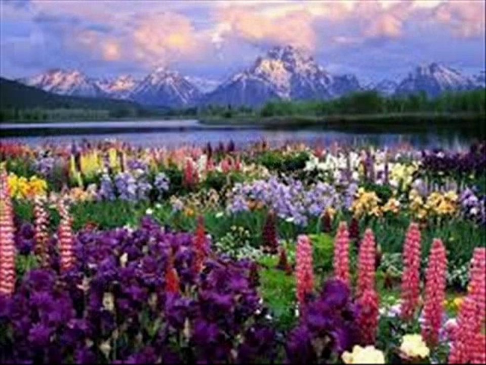 YILDIZ DEMİRKOL SAVAŞ-yıldızlıtürküler-NE AĞLARSIN