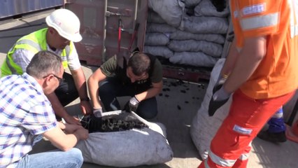 KOCAELİ'DE 201 BİN LİRA DEĞERİNDE NARGİLE TÜTÜNÜ ELE GEÇİRİLDİ