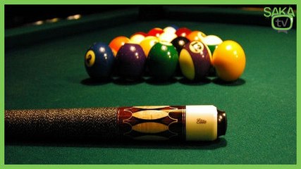 Bilardo Oynayan Tavuk