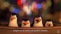 The Penguins of Madagascar-Trailer #2 Subtitulado en Español (HD) Benedict Cumberbatch