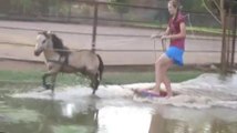 Horse Surfing with Jessie towed by the mini-horse Thunder