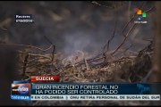 Suecia: muere una persona en incendio forestal