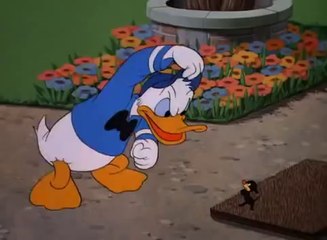 Donald Duck- Slide Donald