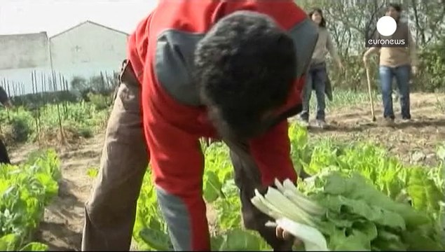 Entra en vigor la prohibición de Rusia de importar productos agrícolas de Europa y EE.UU