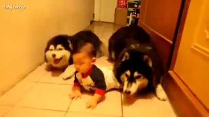 KÖPEKLE BEBEK EMEKLEMESi