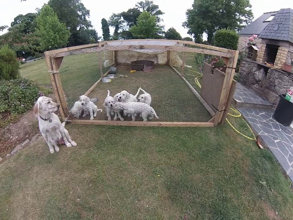 Fannie des forêts liffréennes pose avec ses petits