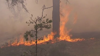 Suécia enfrenta pior incêndio em 40 anos