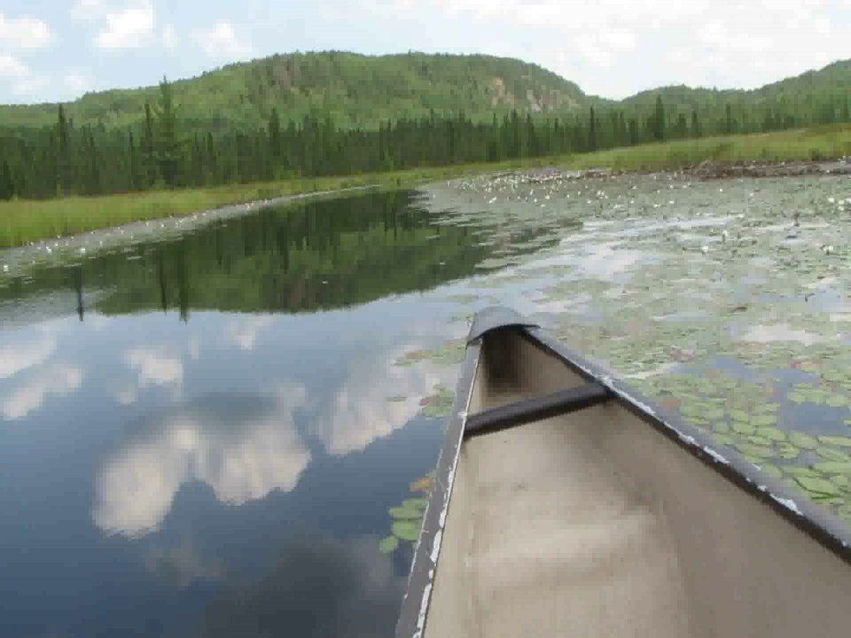Stille im Algonquin Park